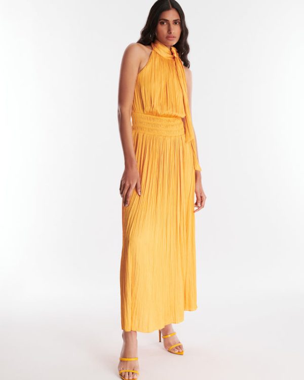 Bcbg Xenia Halter Gown