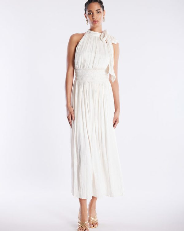 Bcbg Xenia Halter Gown