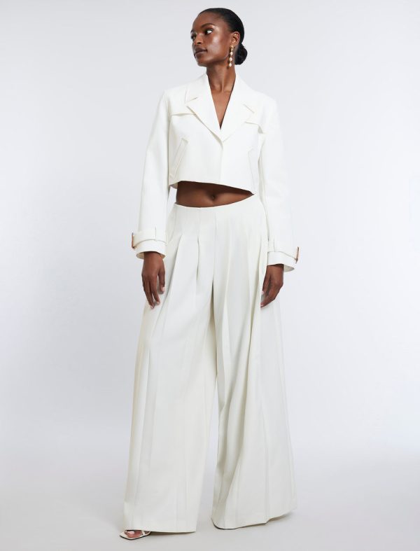 Bcbg Wide-Leg Pleated Pant - Image 6